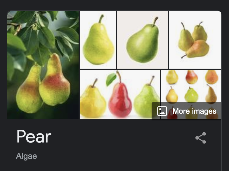 Google's infobox for "Pear"—also listed as an algae