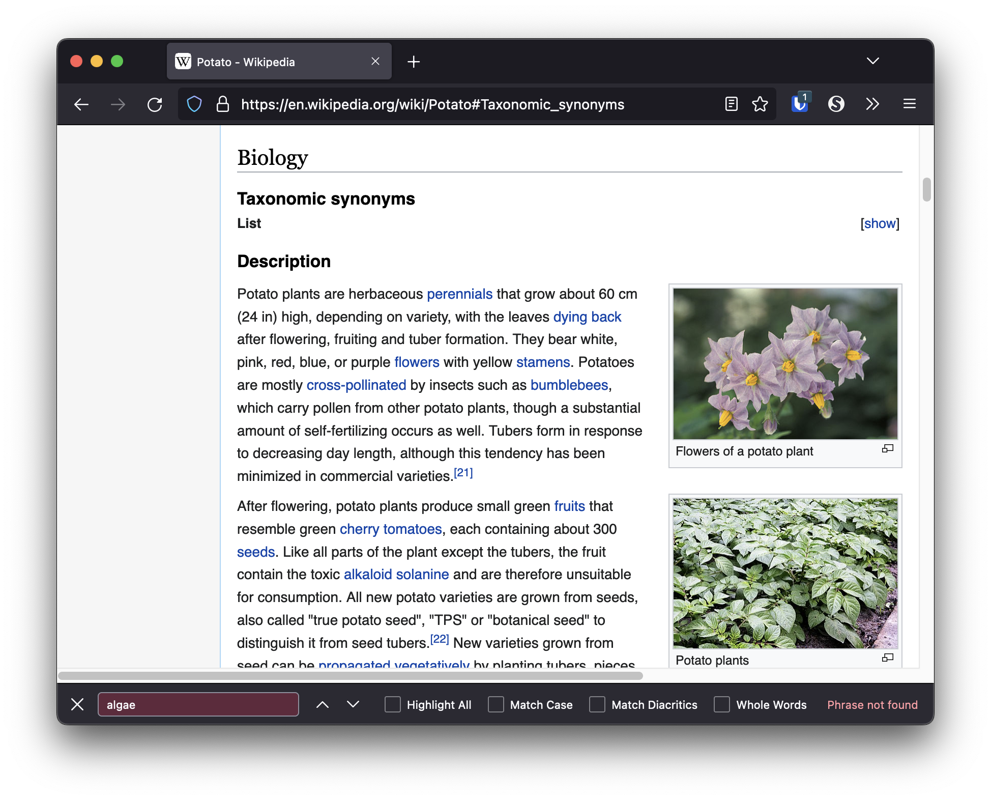 Wikipedia page for potato, but the Find box says "Phrase not found" for the word "algae"