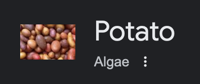 Google's infobox for "Potato"—listed as an algae